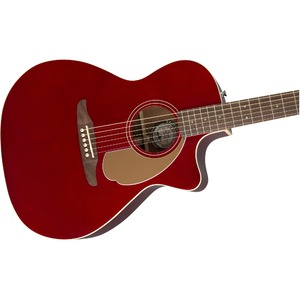 Электроакустическая гитара Fender Newporter Player CAR