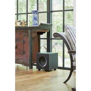 Сабвуфер закрытого типа Paradigm Defiance V10 Black