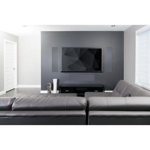 Встраиваемая стеновая акустика Paradigm CI ELITE E3-LCR