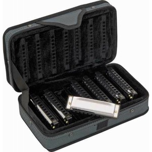 Губная гармошка Hohner Blues Band CDEFGABb M91105