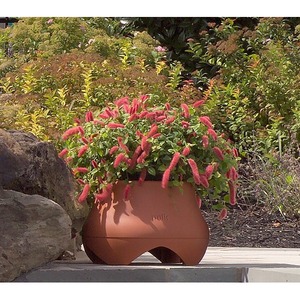 Сабвуфер всепогодный Polk Audio Atrium Sub 100 Terracotta