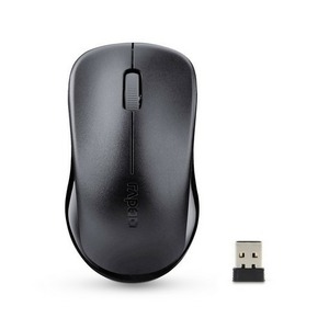 Мышь игровая Rapoo 1620 Black