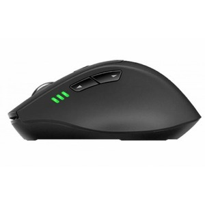 Мышь игровая Rapoo MT550 Black