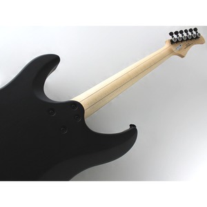 Электрогитара Fujigen J-Standard Mythic JMY-ASH-M TBF