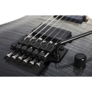 Электрогитара SCHECTER C-1 FR SLS Elite BFB