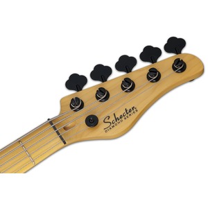 Бас-гитара SCHECTER Model-T Session-5 ANS