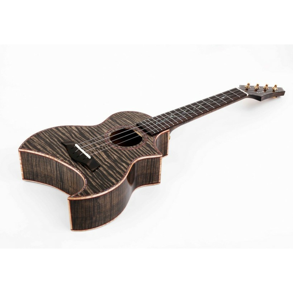 Укулеле Enya EUT-E5 Black