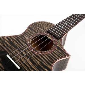 Укулеле Enya EUT-E5 Black