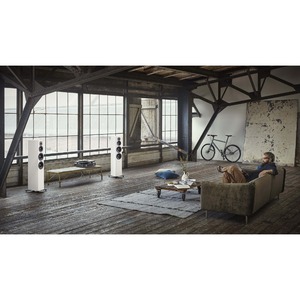 Напольная акустика Dynaudio Evoke 50 Blonde wood