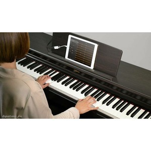 Пианино цифровое Yamaha YDP-144R