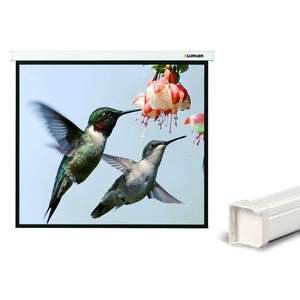 Экран для проектора Lumien Master Picture CSR 165x157см 60х60 Matte White LMP-100115CSR