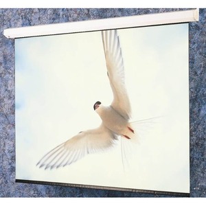 Экран для проектора Lumien Master Large Control 388x602см 275 Matte White FiberGlass LMLC-100108