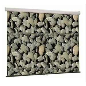 Экран для проектора Lumien Master Large Control 388x602см 275 Matte White FiberGlass LMLC-100108