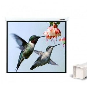 Экран для проектора Lumien Master Large Control 470x620см 300 Matte White FiberGlass LMLC-100103A