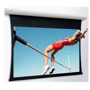 Экран для дома, настенно потолочный с электроприводом Projecta Elpro Concept 139x240 см 104 Matte White 10103516