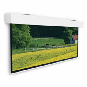 Экран для проектора Projecta Elpro Large Electrol 316х500см Matte White 10100338