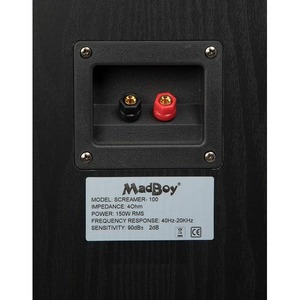 Пассивная AC MadBoy SCREAMER-100