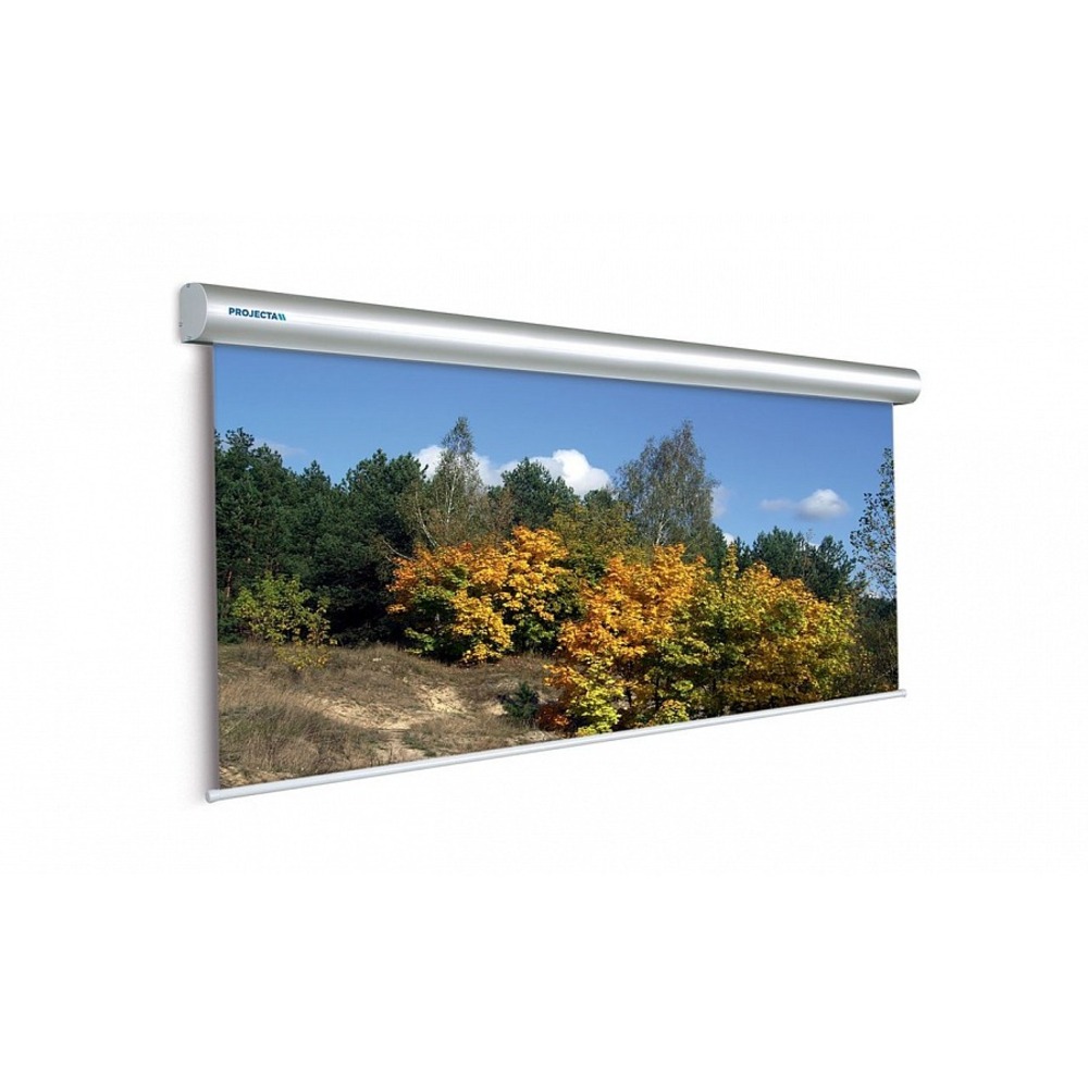 Экран для проектора Projecta Master Electrol 300х500см 230 Rear projection 10130237