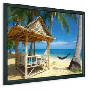 Экран для проектора Projecta HomeScreen Deluxe 241x416см 184 HD 10600455