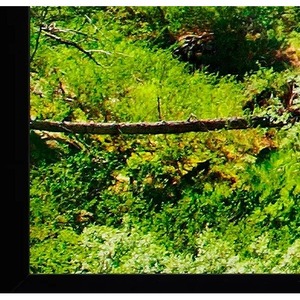 Экран для проектора Projecta HomeScreen Deluxe 173x296см 126 HD 10600487