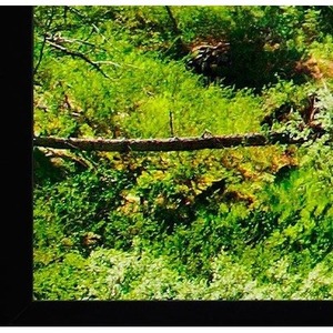 Экран для проектора Projecta HomeScreen Deluxe 173x296см 126 HD 10600423