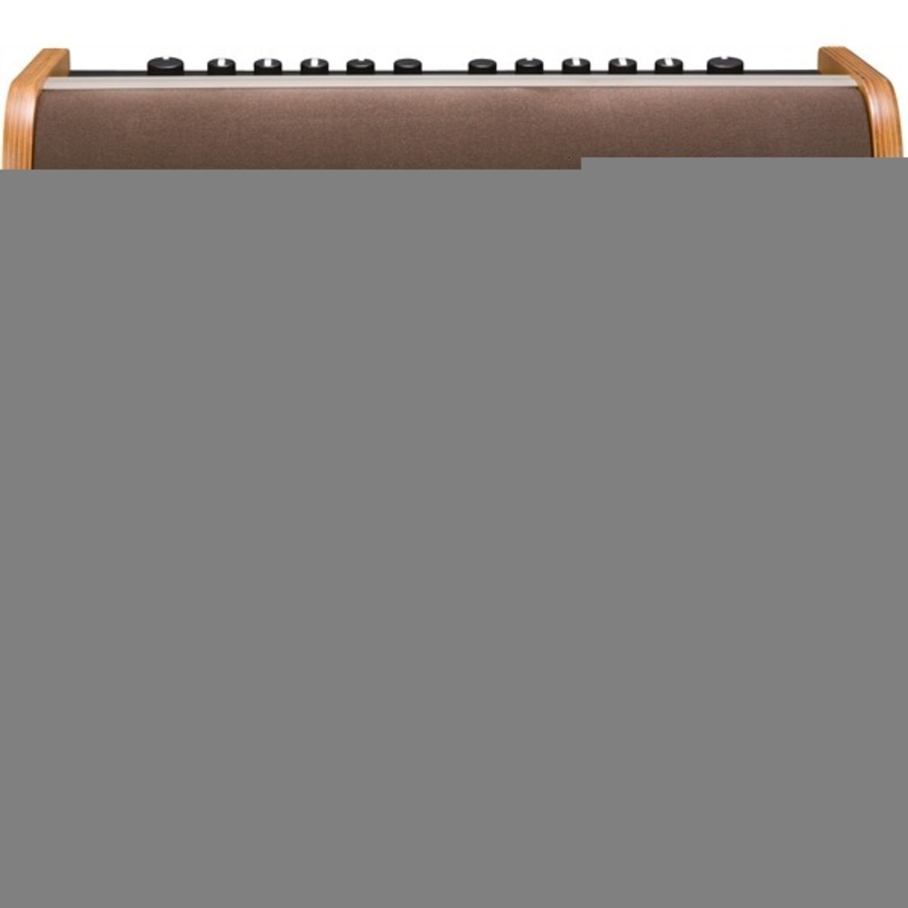 Комбоусилитель для акустических гитар Fender ACOUSTIC 200