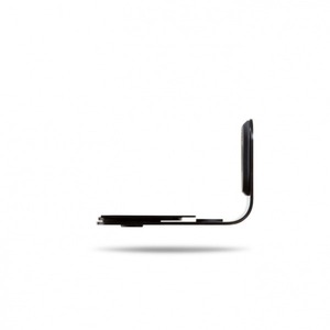 Портативная акустика Bluesound WM 200 black