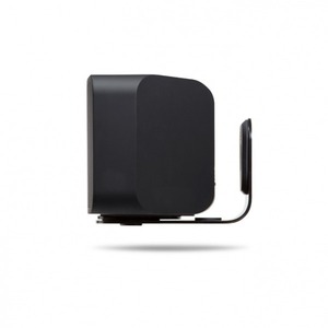 Портативная акустика Bluesound WM 200 black