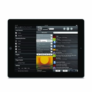 Портативная акустика Bluesound PULSE 2i black