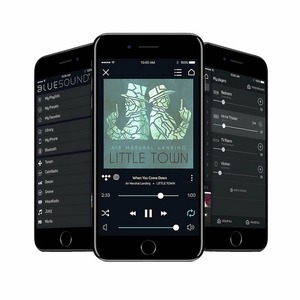 Портативная акустика Bluesound PULSE 2i white