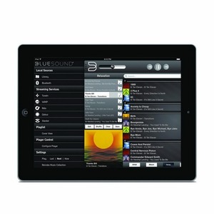 Портативная акустика Bluesound PULSE 2i white