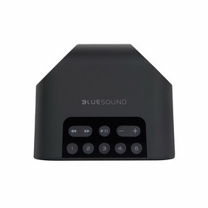 Портативная акустика Bluesound PULSE FLEX 2i black