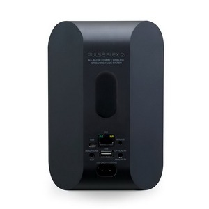 Портативная акустика Bluesound PULSE FLEX 2i black