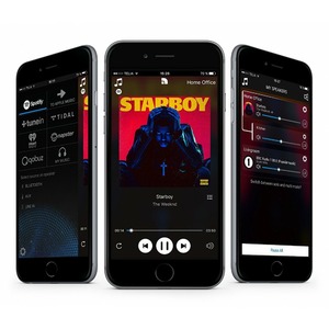 Портативная акустика Audio Pro Addon C10 Black