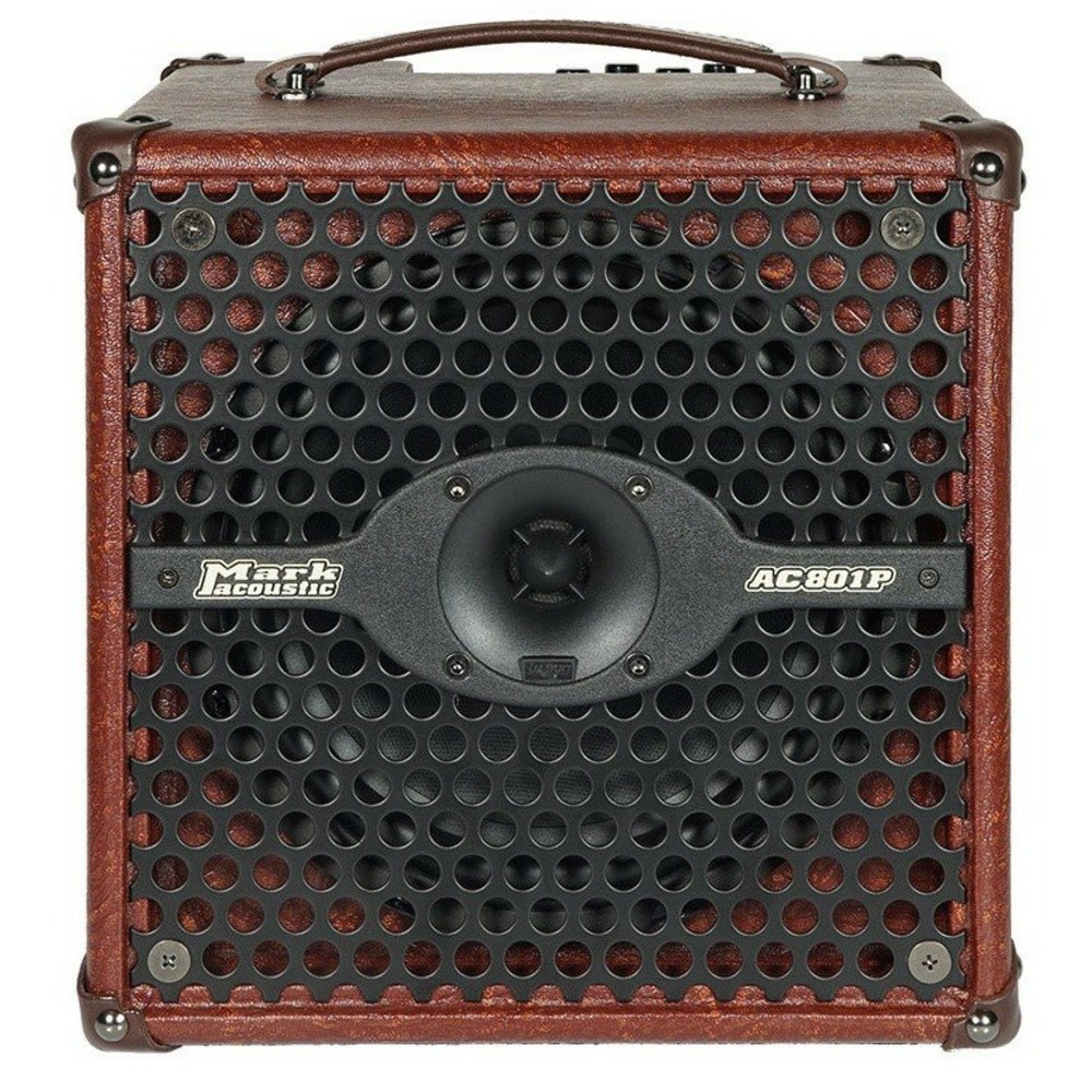 Комбоусилитель для акустической гитары DV Mark AC 801 P