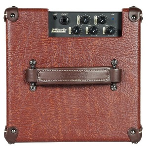 Комбоусилитель для акустической гитары DV Mark AC 801 P