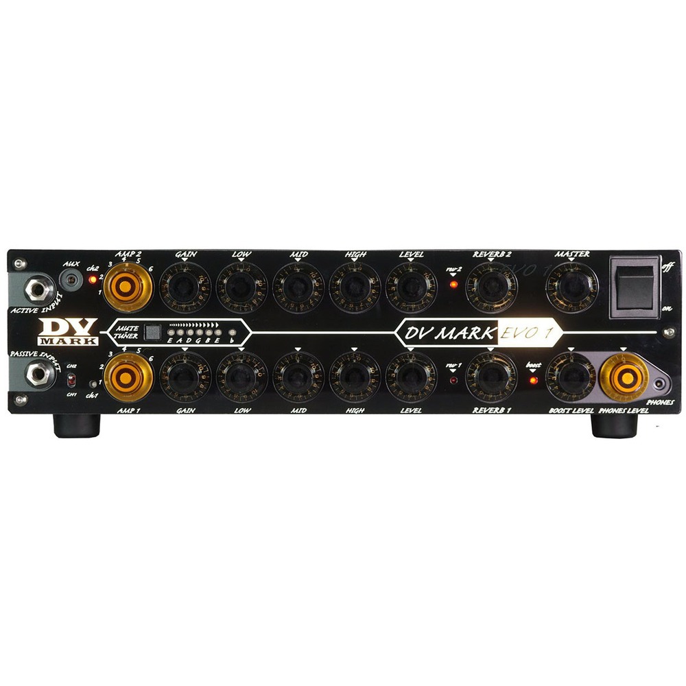 Гитарный усилитель DV Mark DV MARK EVO1