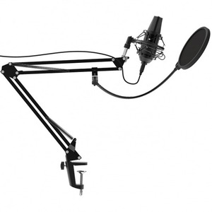 USB микрофон Ritmix RDM-180 Black