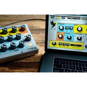 Аналоговый синтезатор Moog Sirin