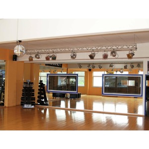 Мотор для зеркального шара Eurolite MD-1515 Safety Rotary Motor