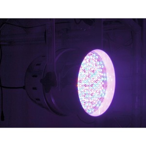 Прожектор PAR LED Eurolite LED PAR-64 RGBA 10mm Short black