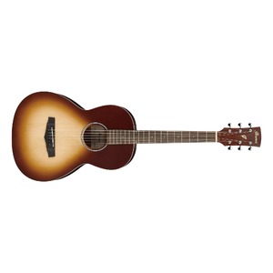 Акустическая гитара IBANEZ PN19-ONB