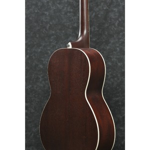 Акустическая гитара IBANEZ PN19-ONB