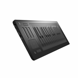 Миди клавиатура ROLI RISE 25