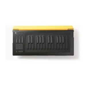 Чехол/кейс для клавишных ROLI FLIPCASE AMBER