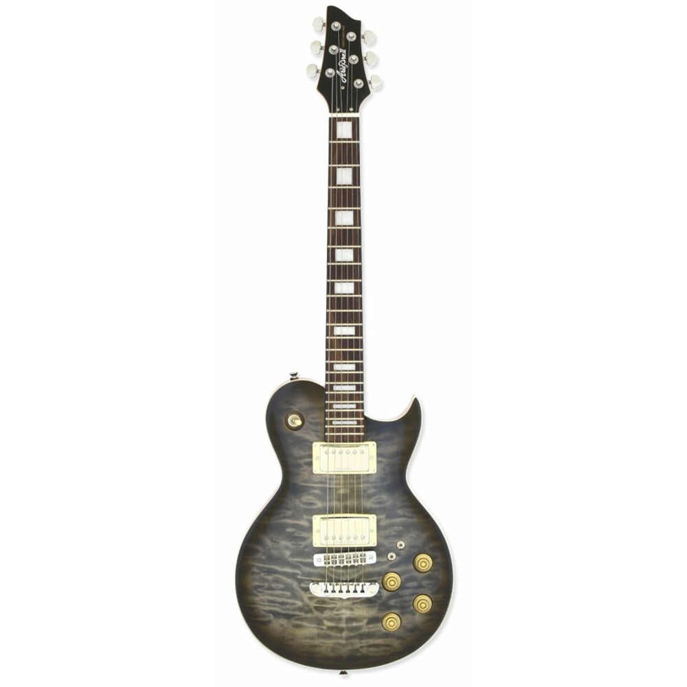 Электрогитара Les Paul ARIA PE-480 SBKB