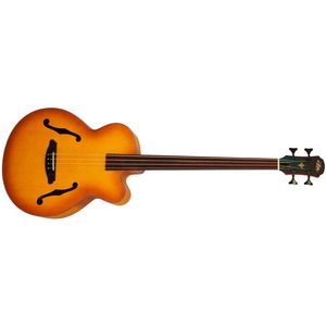 Акустическая бас-гитара ARIA FEB-FL LVS