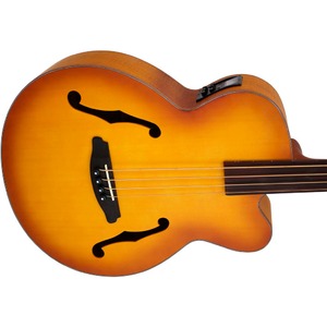 Акустическая бас-гитара ARIA FEB-FL LVS