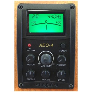 Акустическая бас-гитара ARIA FEB-FL LVS