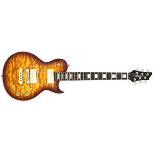 Электрогитара Les Paul ARIA PE-480 BS